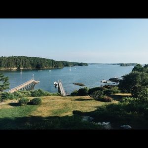 Meet your Posher, Lilly